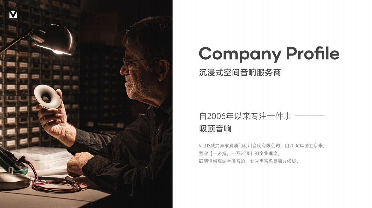 2026威力音品牌手册.pdf_第2页