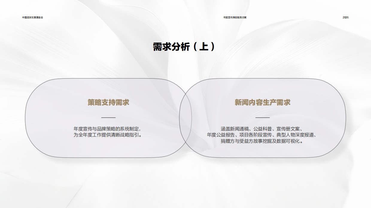 2026中国足球发展基金会宣传策划方案.pdf_第6页