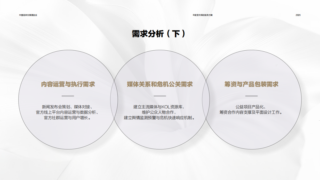 2026中国足球发展基金会宣传策划方案.pdf_第7页