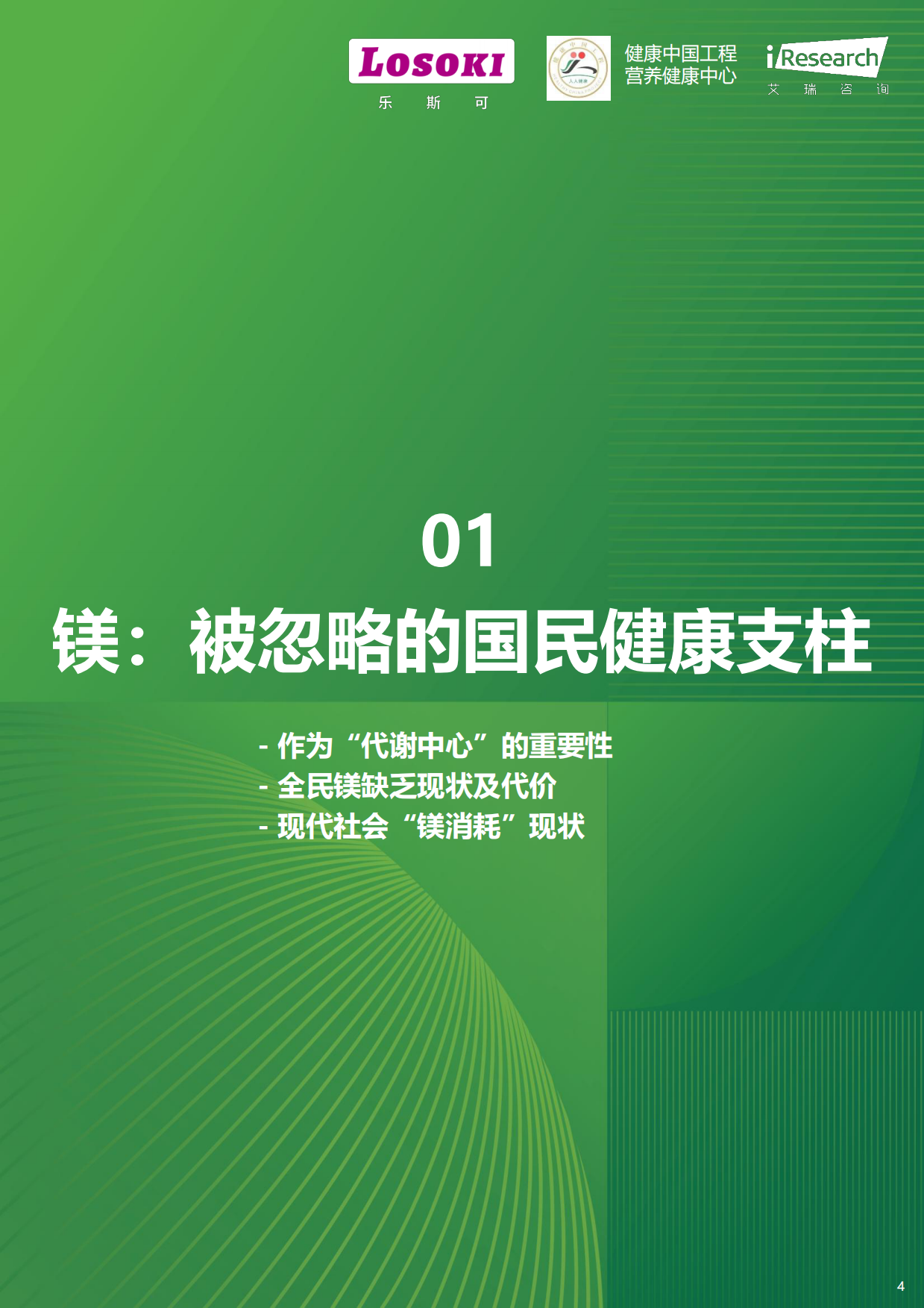 2026年“镁”好人生-镁与中国全民健康管理白皮书-艾瑞咨询.pdf_第4页