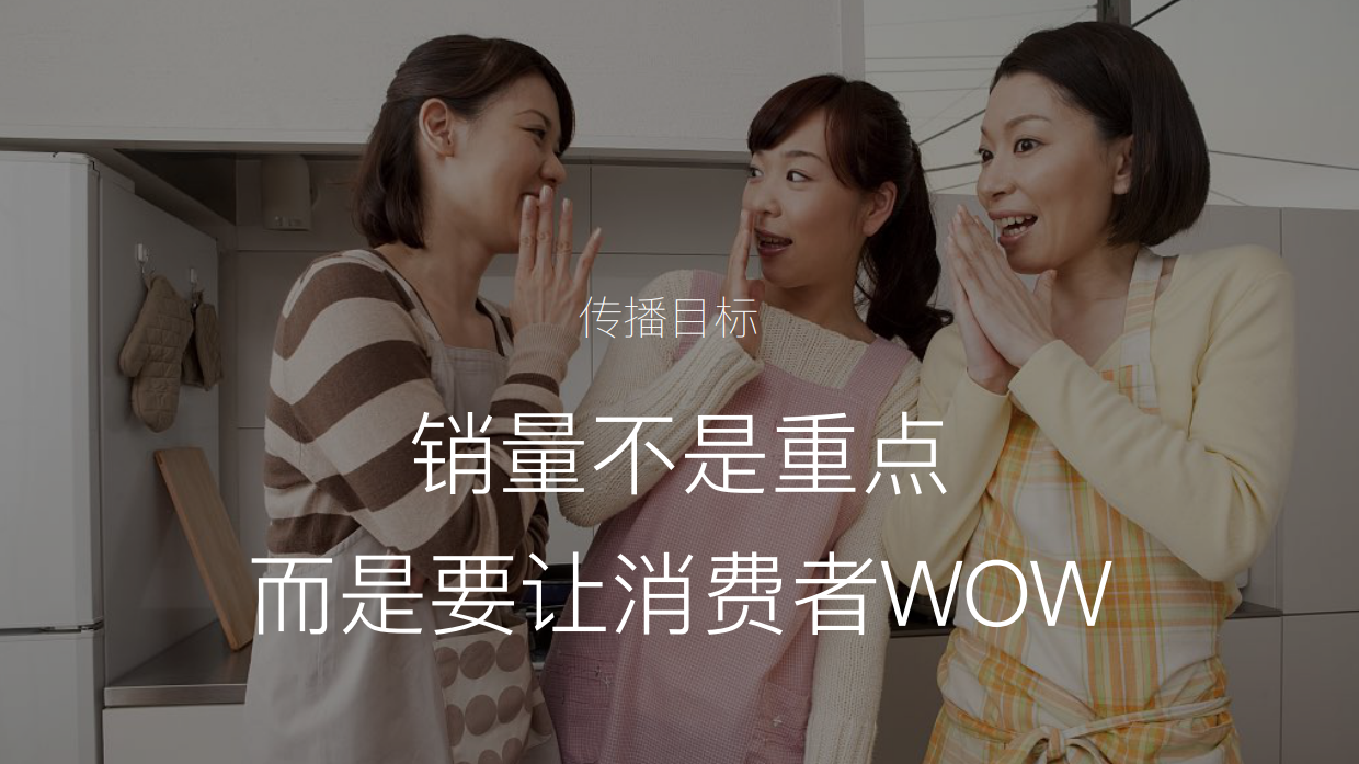 双枪抗菌砧板厨房用品新品上市明星代言传播方案.pdf_第5页