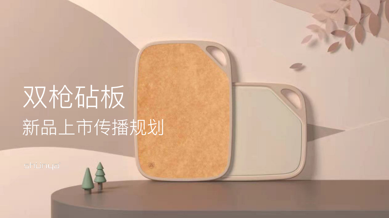 双枪抗菌砧板厨房用品新品上市明星代言传播方案.pdf