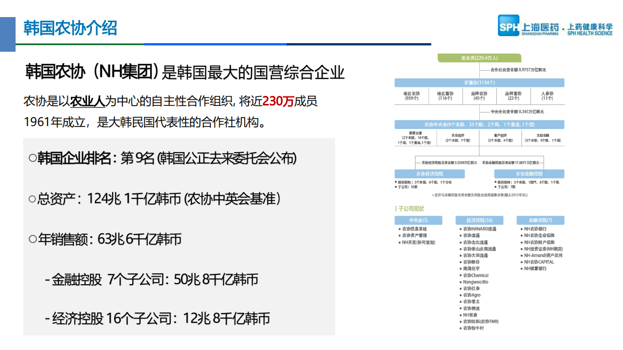 2026【韩参印】品牌推广手册.pdf_第6页