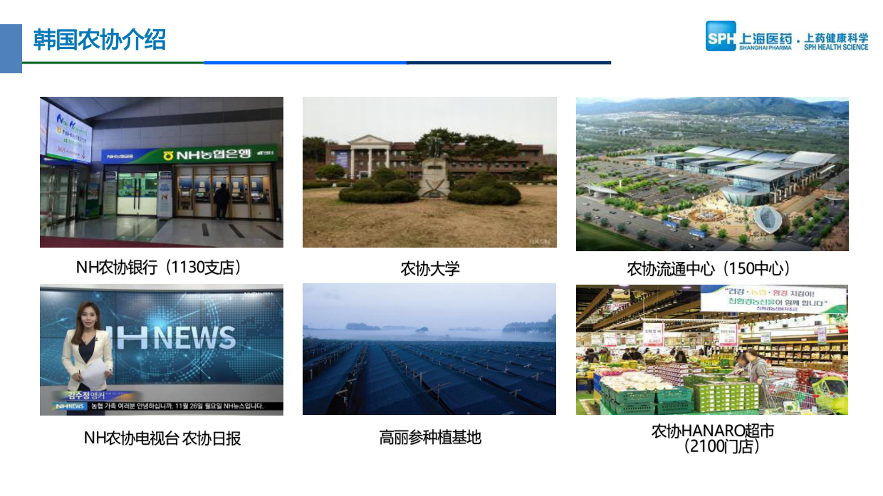 2026【韩参印】品牌推广手册.pdf_第7页