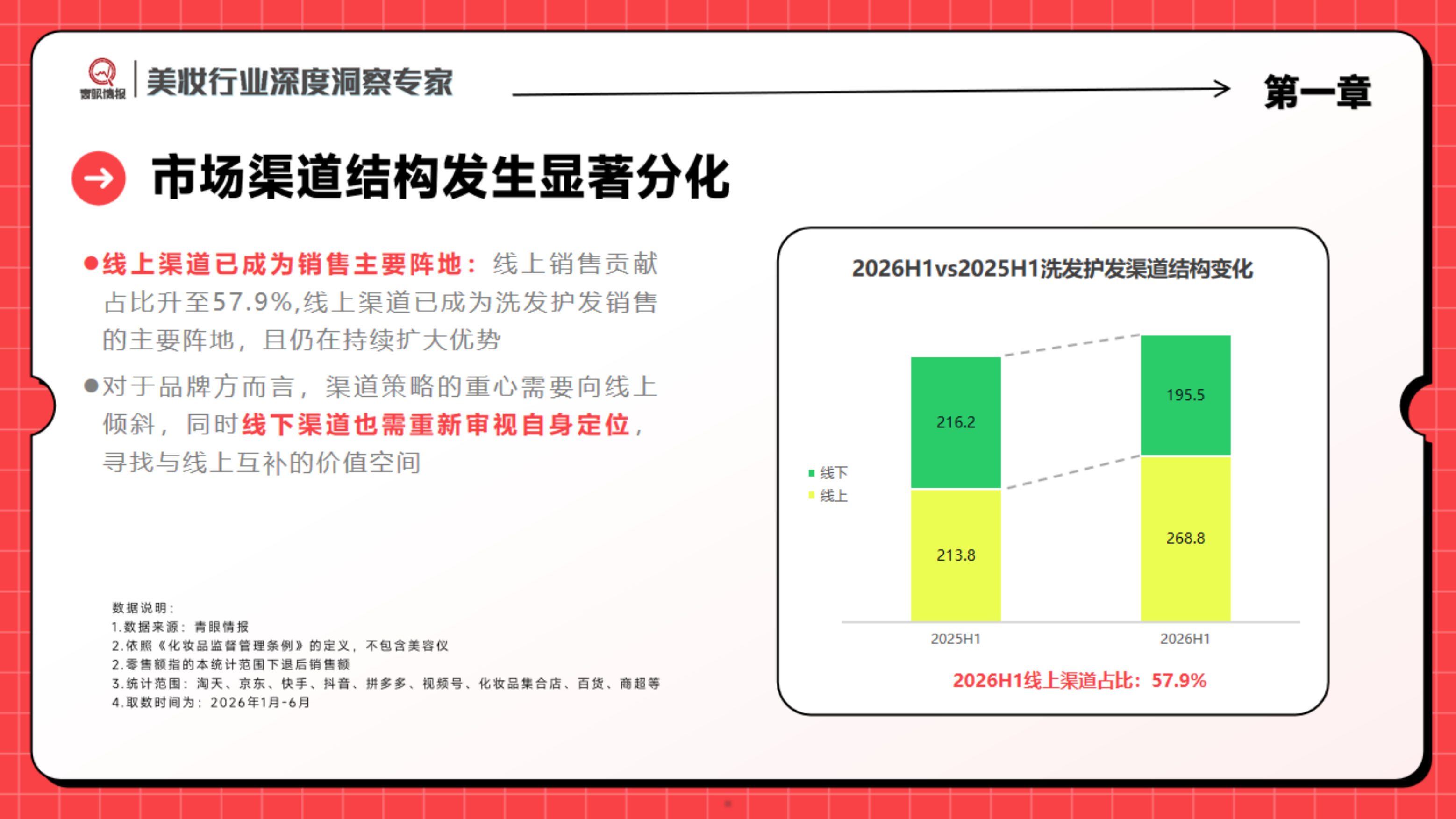 2026洗发护发美发市场洞察报告-青眼情报.pdf_第5页