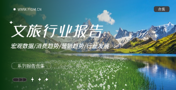 文旅报告精选