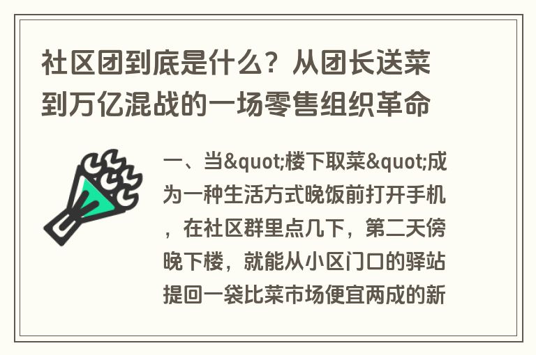 社区团到底是什么？从团长送菜到万亿混战的一场零售组织革命