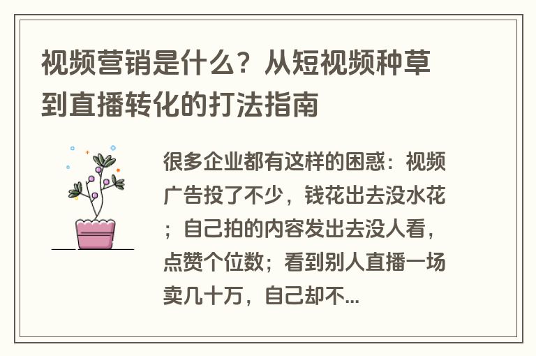 视频营销是什么?从短视频种草到直播转化的打法指南 视频营销是什么?从短视频种草到直播转化的打法指南