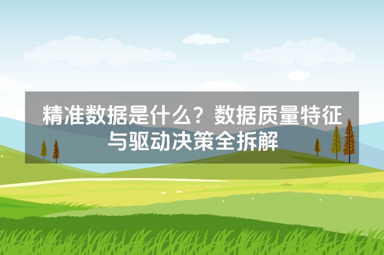 精准数据是什么?数据质量特征与驱动决策全拆解 精准数据是什么?数据质量特征与驱动决策全拆解