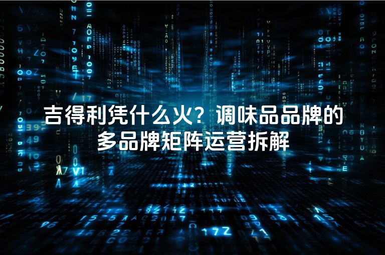 吉得利凭什么火？调味品品牌的多品牌矩阵运营拆解