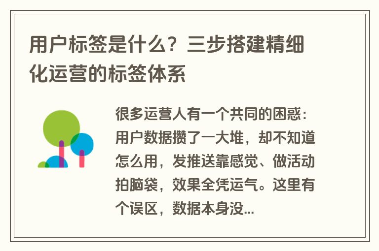 用户标签是什么?三步搭建精细化运营的标签体系 用户标签是什么?三步搭建精细化运营的标签体系