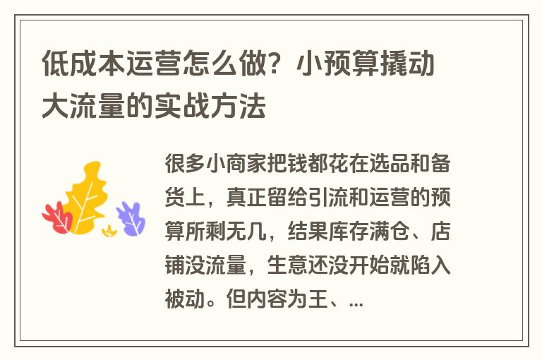低成本运营怎么做？小预算撬动大流量的实战方法