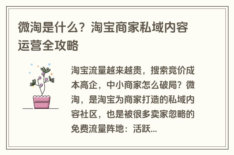 微淘是什么？淘宝商家私域内容运营全攻略