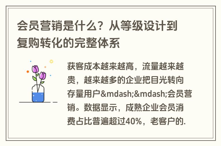 会员营销是什么?从等级设计到复购转化的完整体系 会员营销是什么?从等级设计到复购转化的完整体系