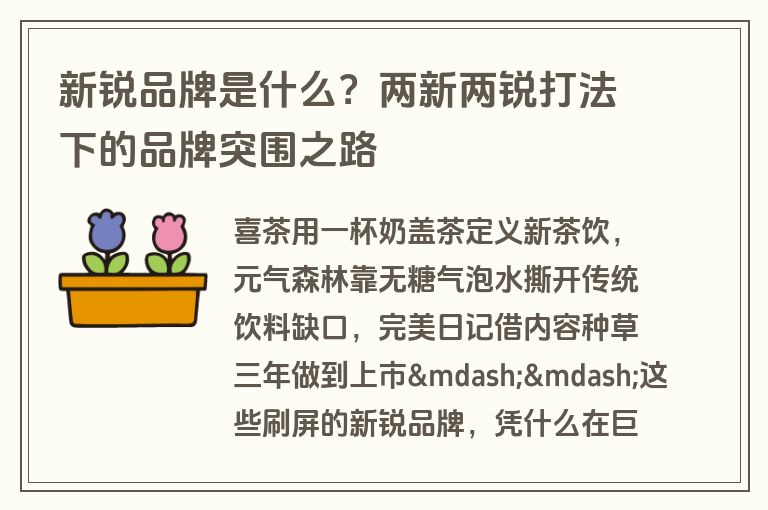 新锐品牌是什么？两新两锐打法下的品牌突围之路