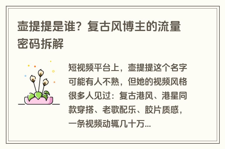 壶提提是谁？复古风博主的流量密码拆解