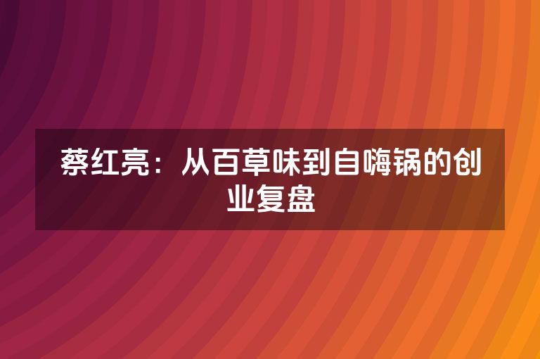 蔡红亮：从百草味到自嗨锅的创业复盘