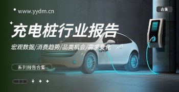 充电桩行业报告精选