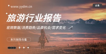 旅游行业报告精选