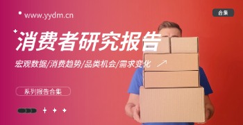 消费者市场研究报告精选