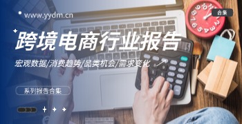 跨境电商行业报告精选