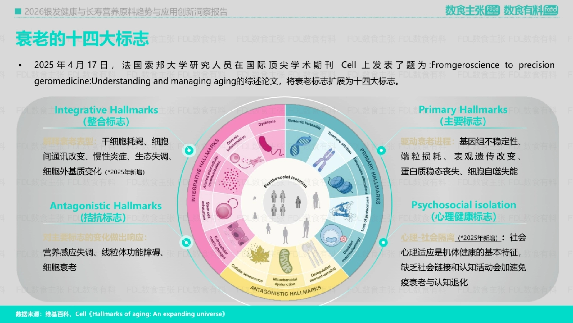 衰老的十四大标志(含 2025 年新增细胞外基质变化与心理-社会隔离)
