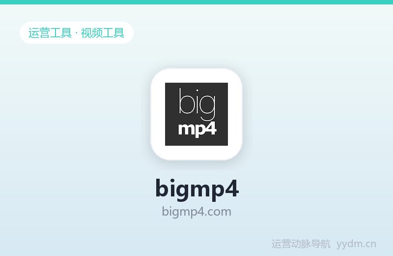 bigmp4