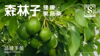 2025森林子品牌手册.pdf