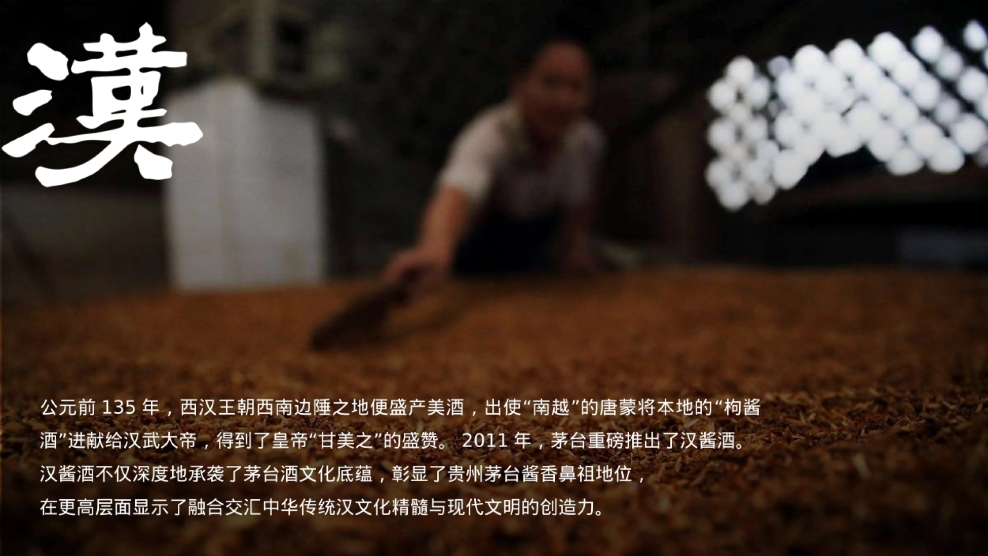 2026汉酱酒(3.0)茅台酱香·万家共享白酒品牌茅台酱香新品品鉴会活动方案-51页.pptx_第4页