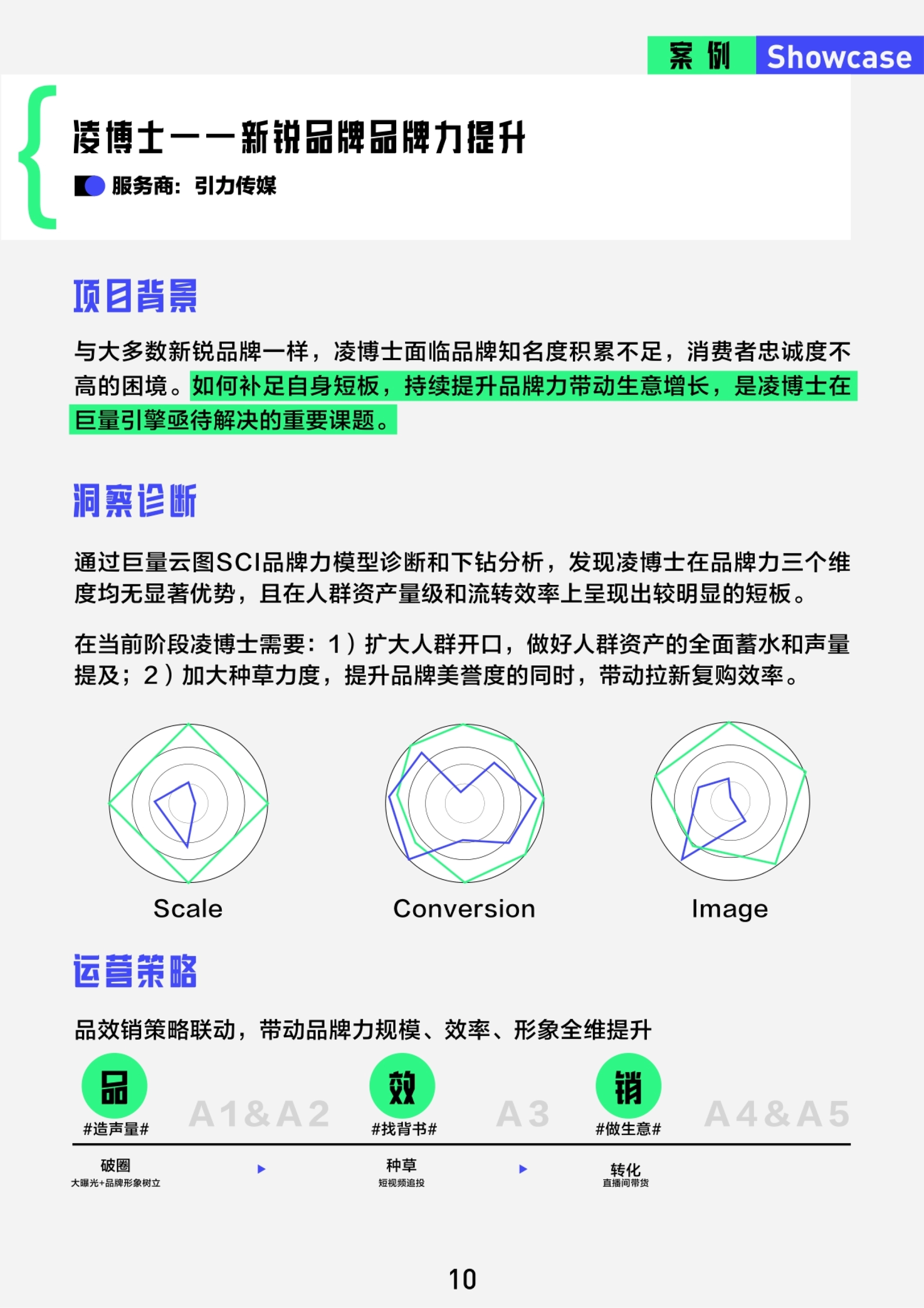 案例 Showcase 凌博士——新锐品牌品牌力提升 项目背景 10 服务商