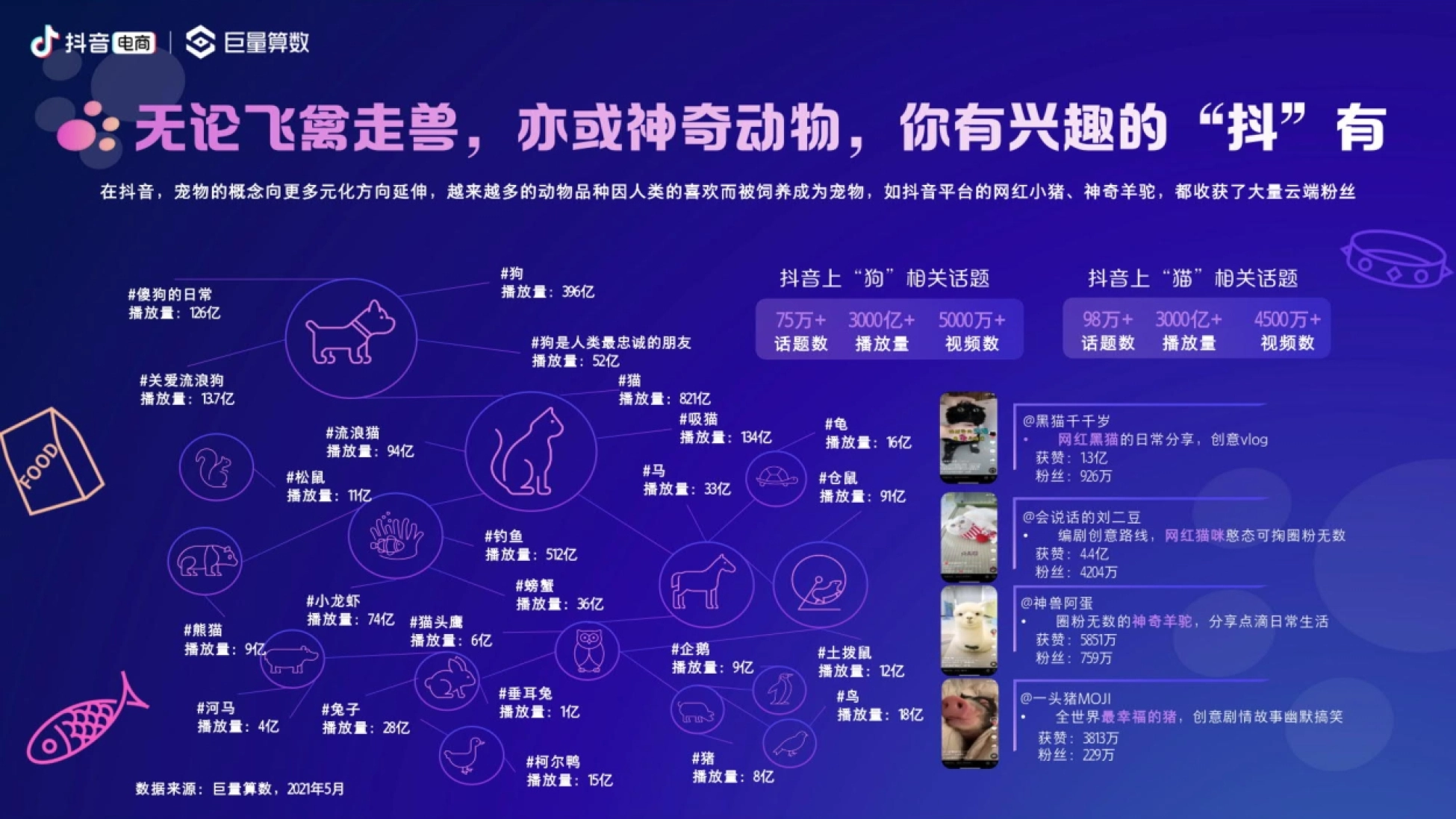 抖音电商 巨量算数 无论飞禽走兽，亦或神奇动物，你有兴趣的 “抖”有 在抖音