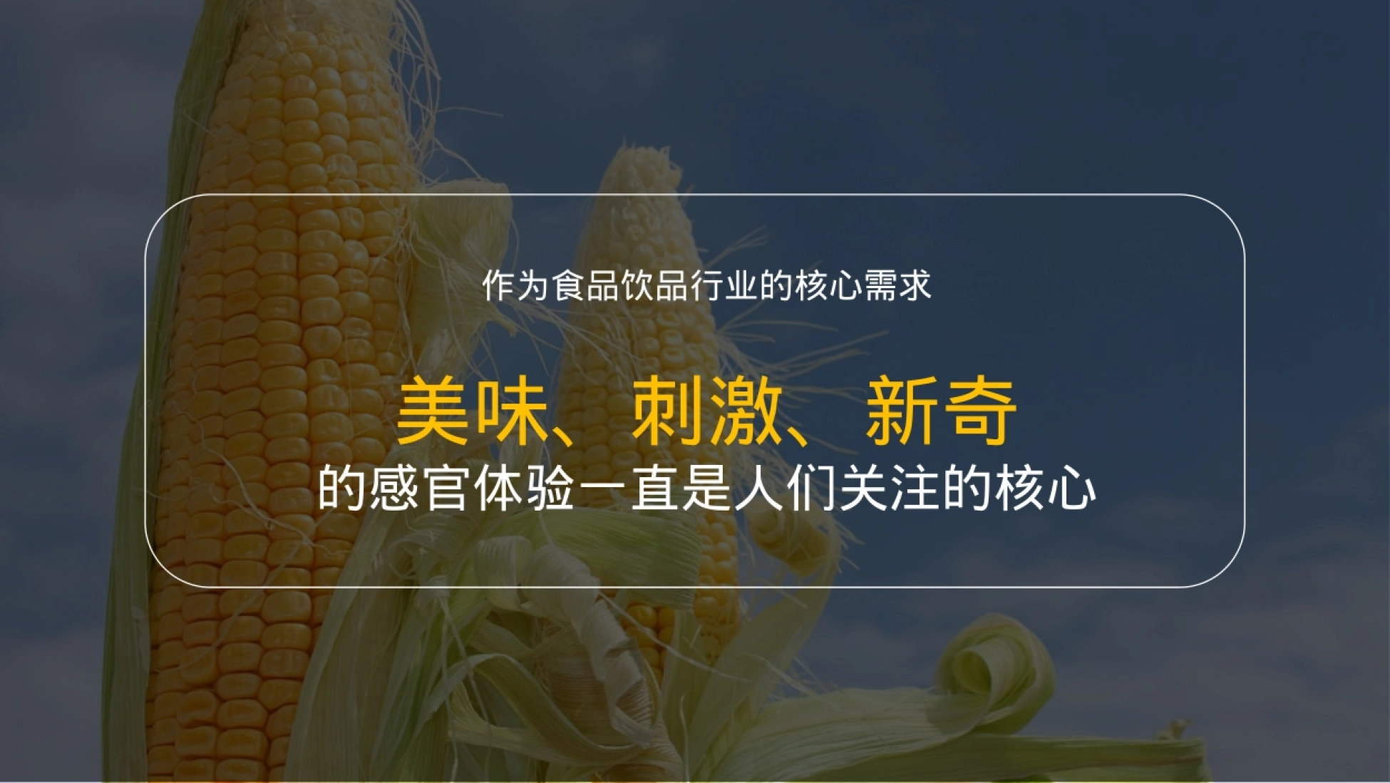 香糯玉米社交媒体推广方案_第10页