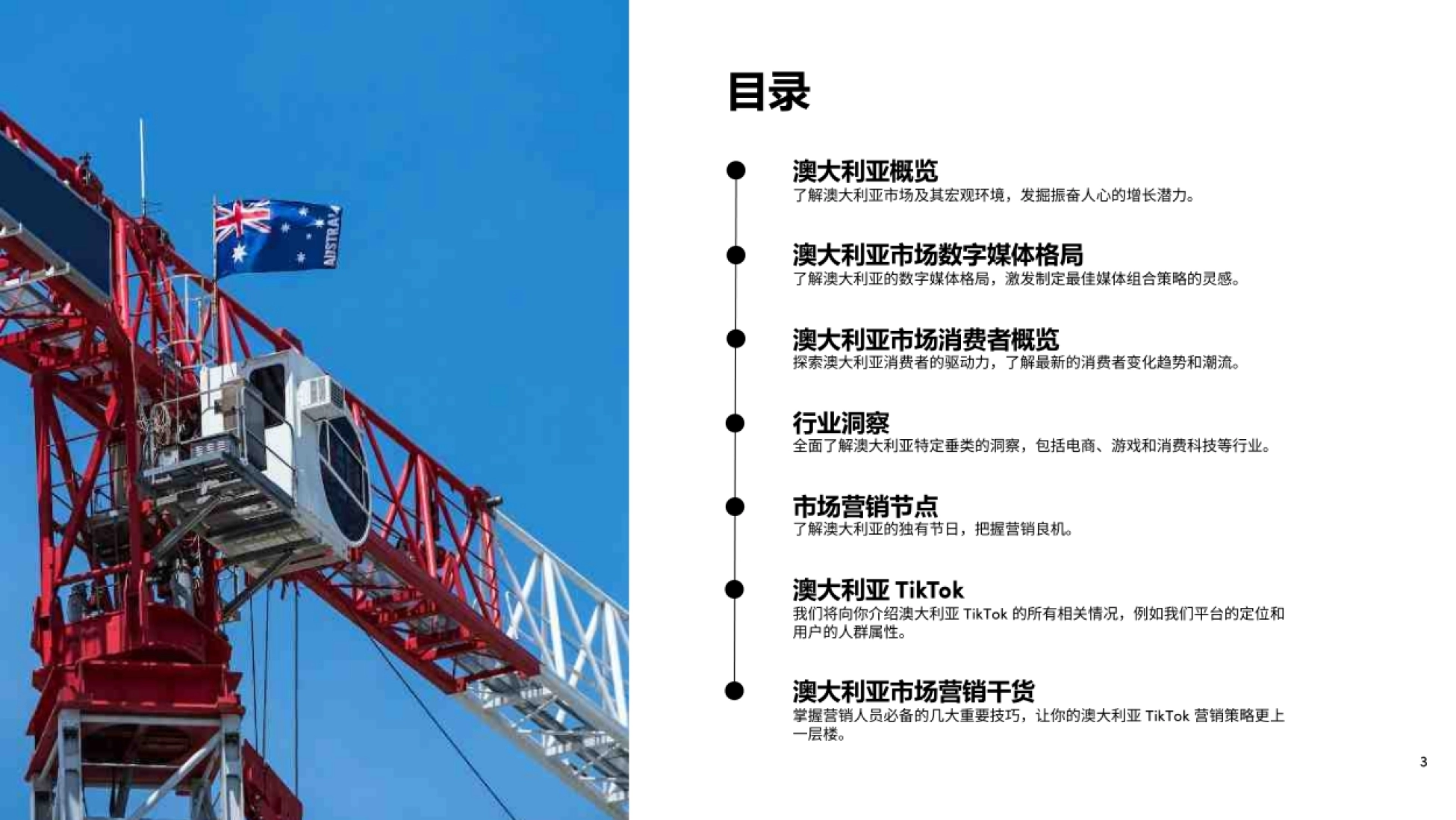 TikTok：2023全球市场百宝书-澳大利亚篇_第3页