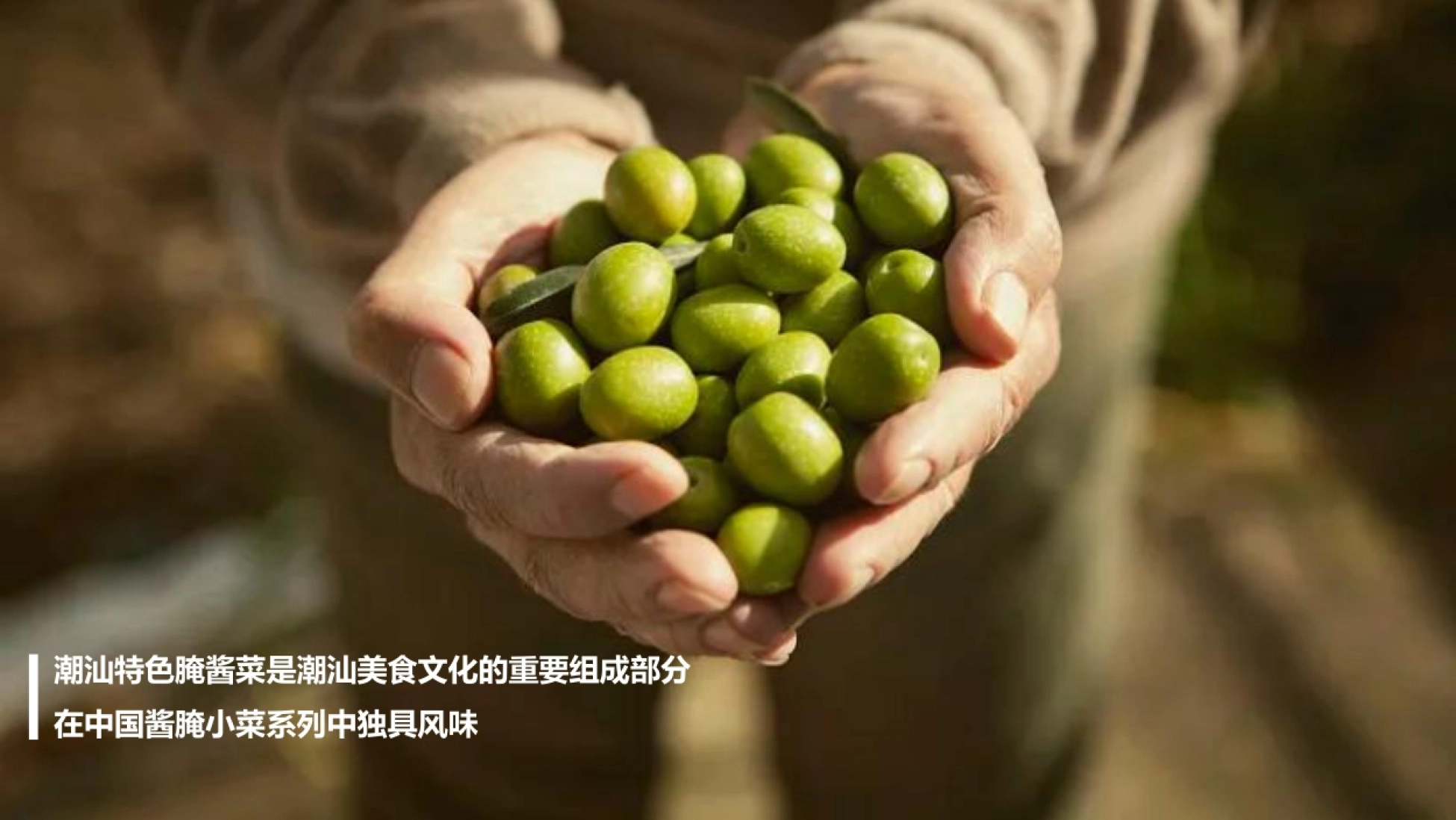 2026非遗潮汕橄榄菜品牌视频营销方案_第3页