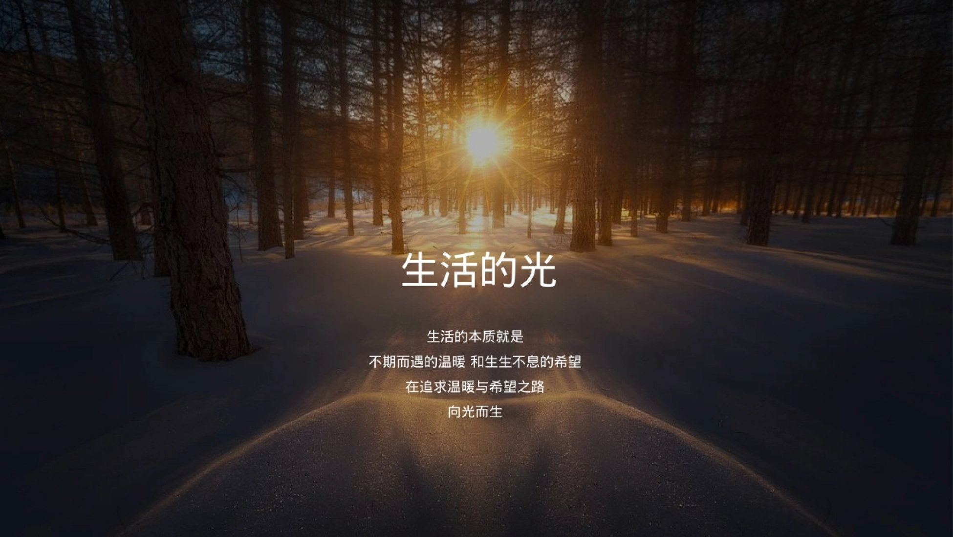 2022-地产项目营销中心暨樊登书店旗舰店开放（像诗一样生活主题）活动策划方案-72P_第3页