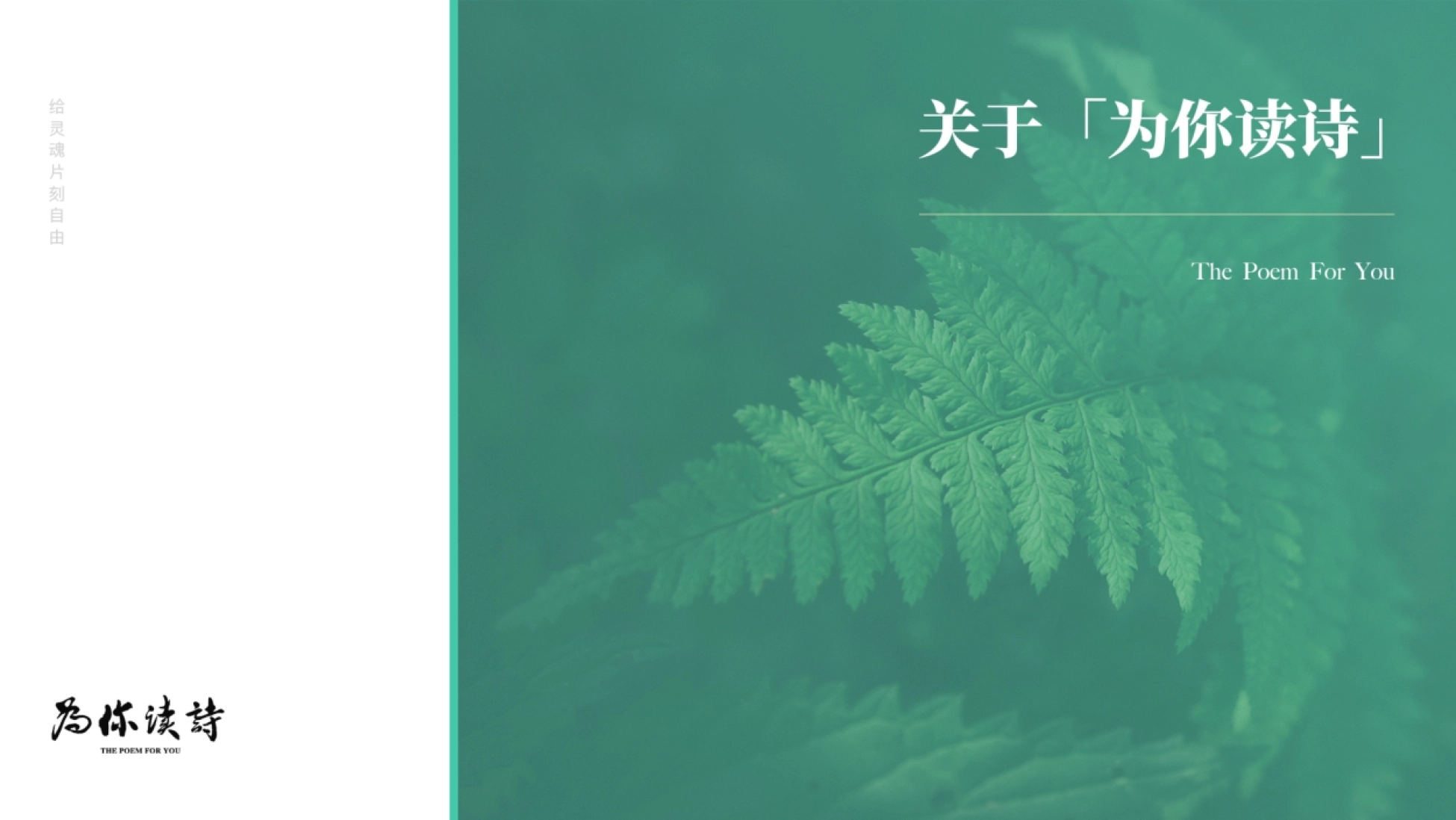 2023-「为你读诗」合作介绍文件-50P_第3页