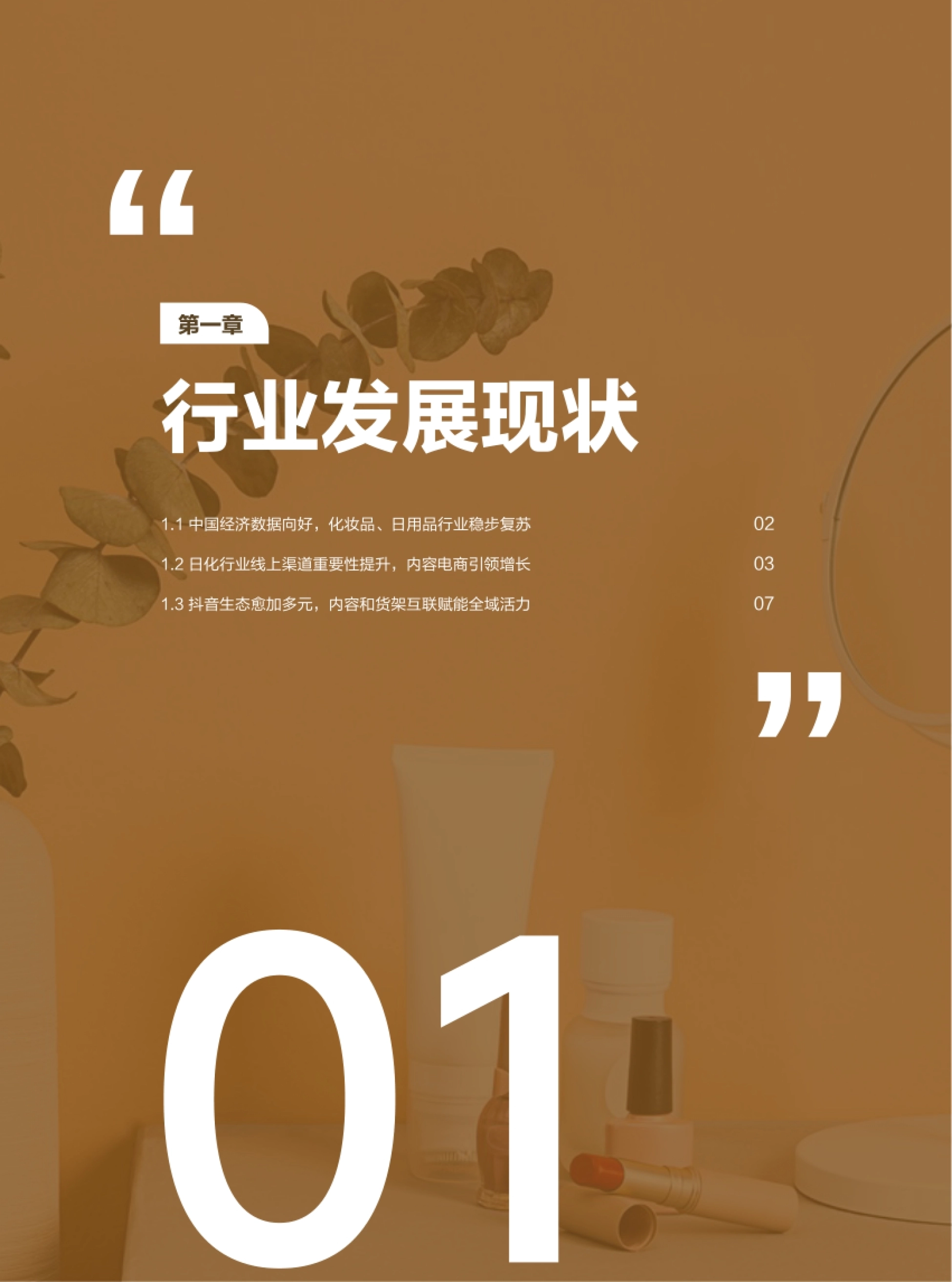 第4页 第一章开篇 行业发展现状
