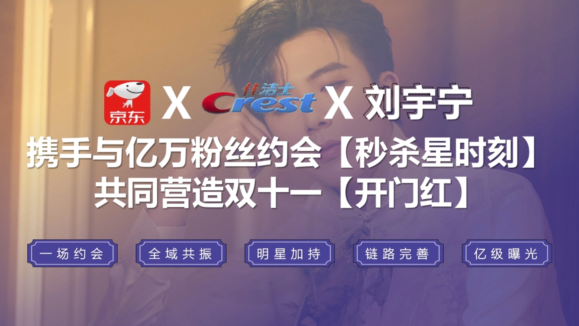 京东X佳洁士X刘宇宁秒杀星时刻营销方案_第4页