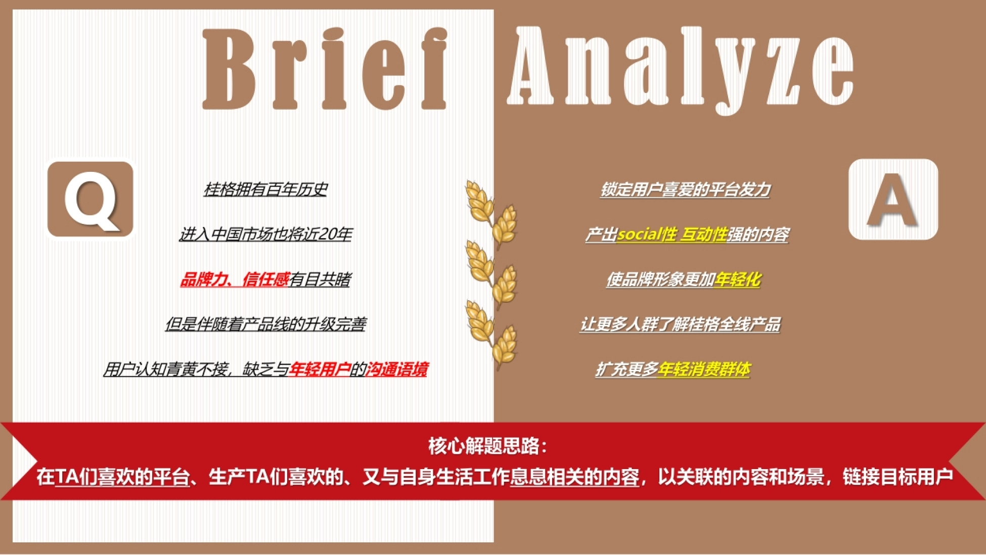 桂格抖音账号运营方案_第4页