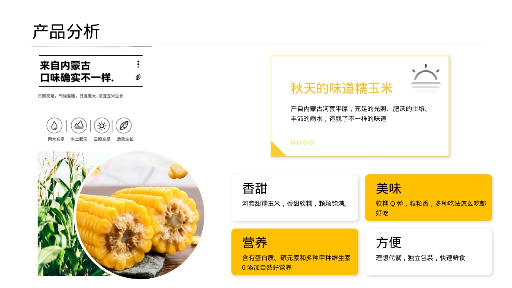 香糯玉米社交媒体推广方案_第4页