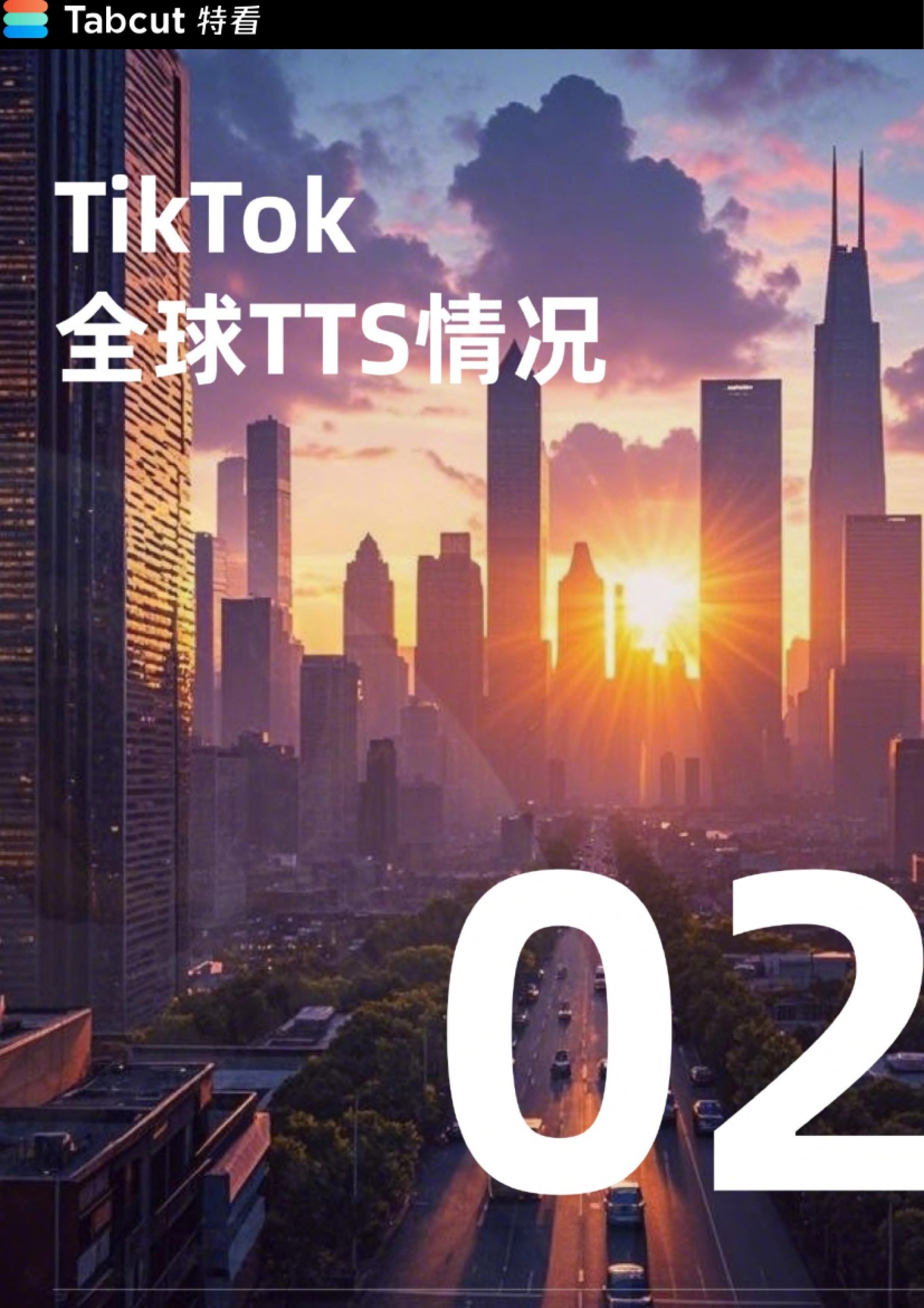 特看-TikTok Shop 2024年度报告_第5页