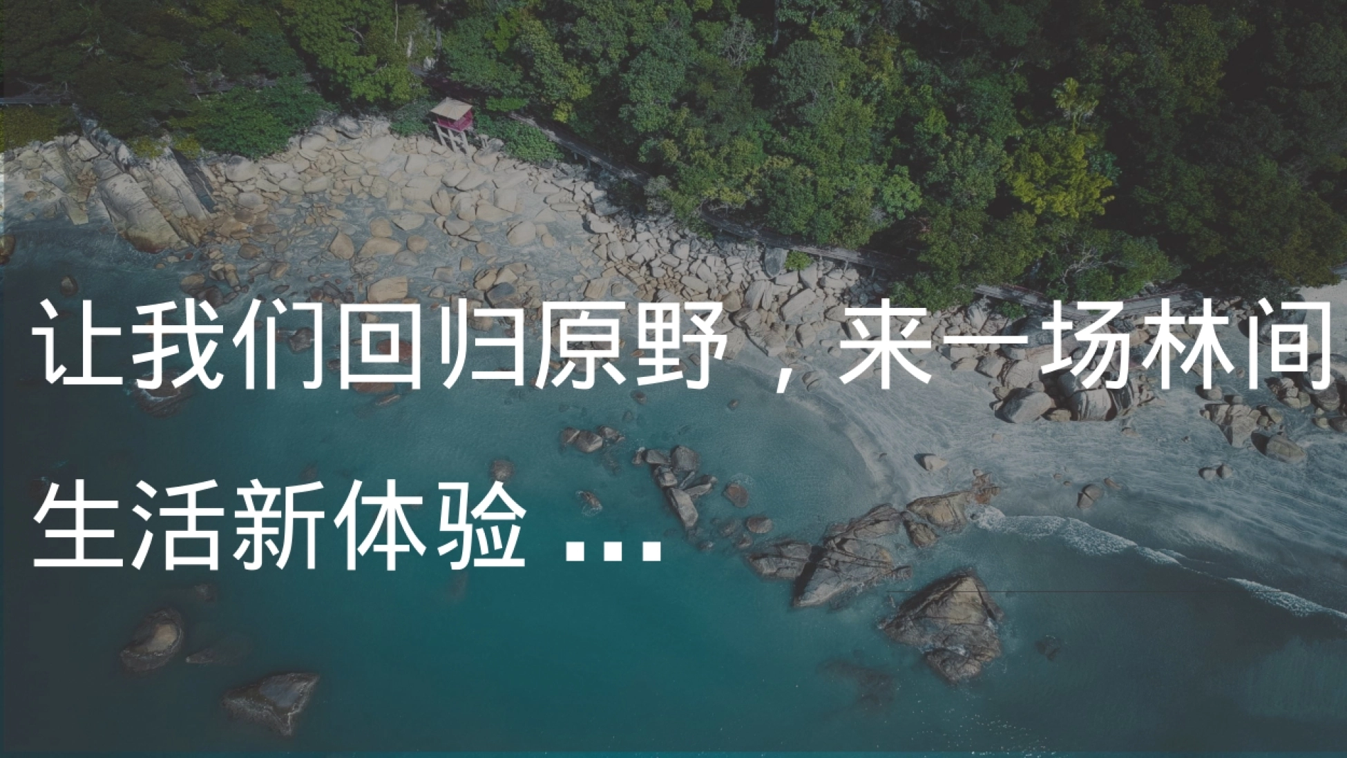 嫁接:武汉高校老师内容:乡间美食品鉴 4、嫁接:商楚协会/宝马/奔驰等高端车
