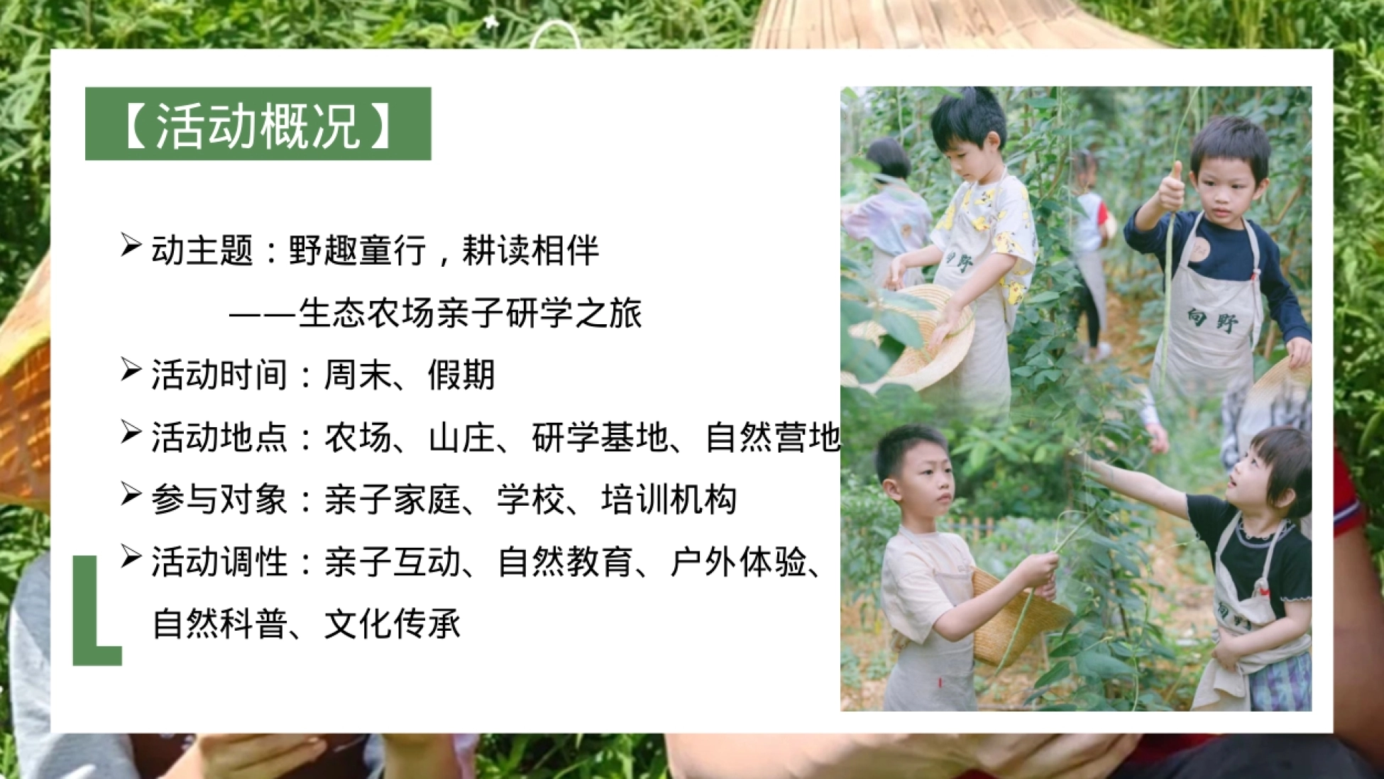 2025-“野趣童行，耕读相伴”主题生态农场亲子研学活动策划案-48P_第8页