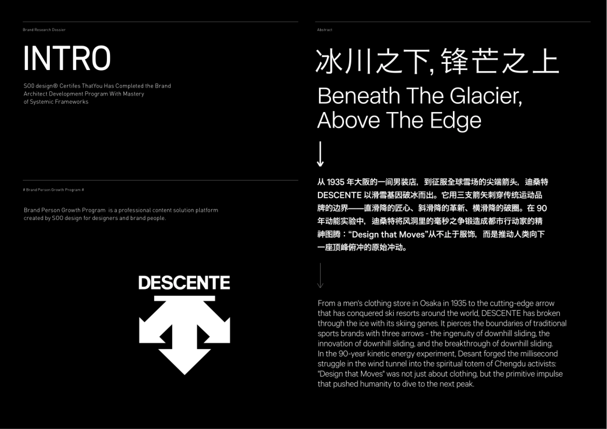 DESCENTE迪桑特-品牌资料_第2页