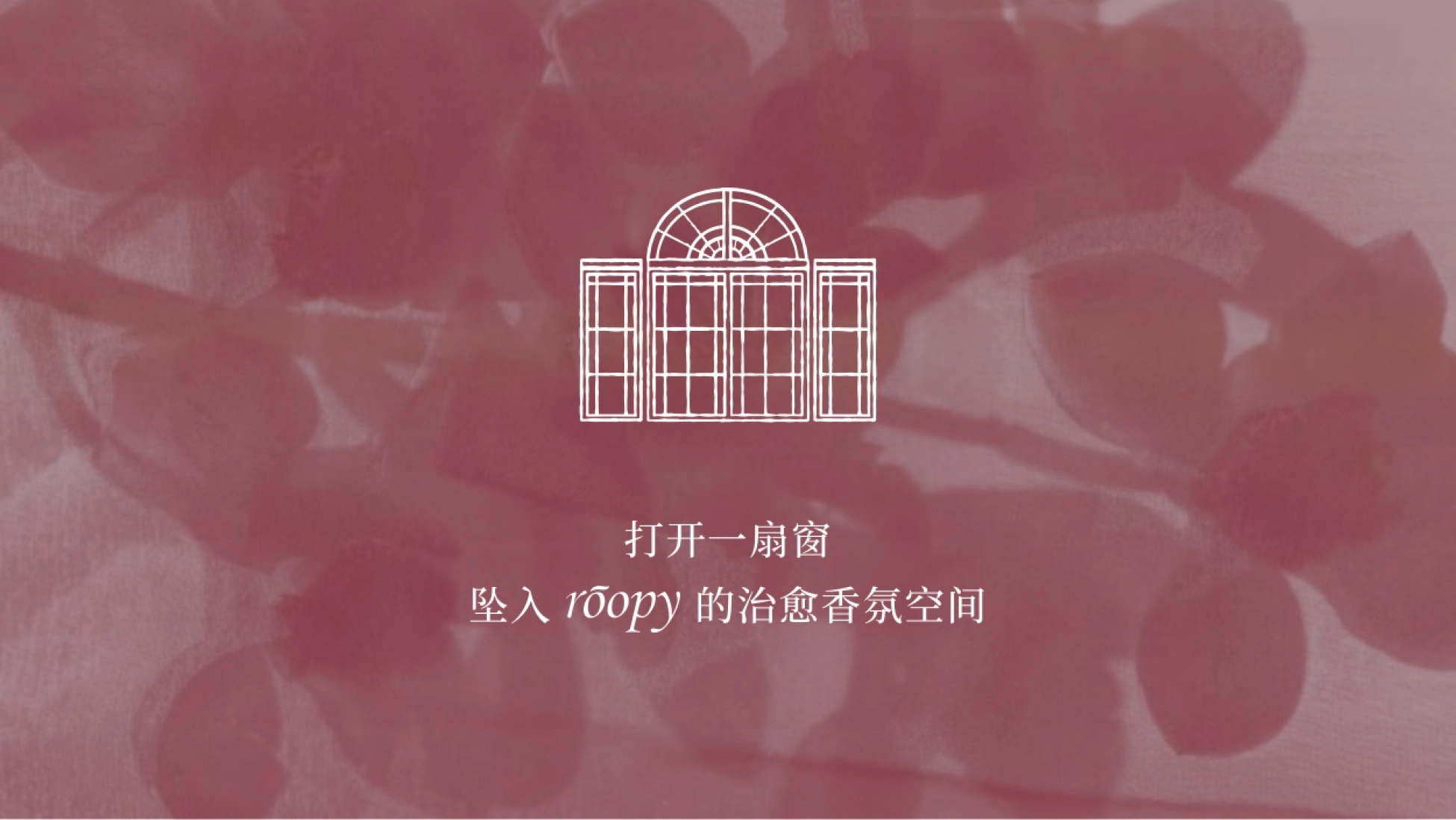 香氛roopy润培品牌手册_第10页
