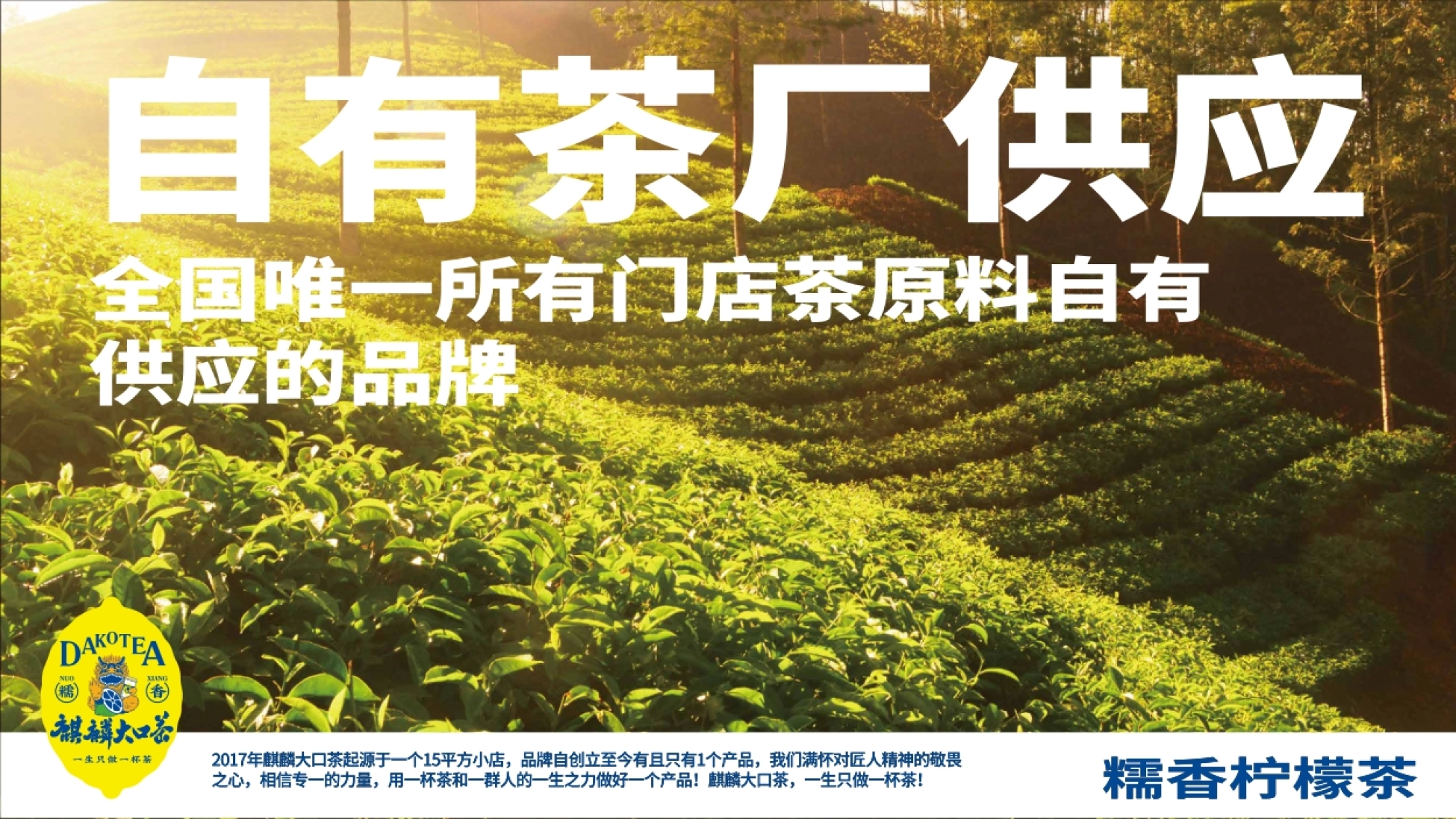 DAKOTEA麒麟大口茶品牌手册_第6页
