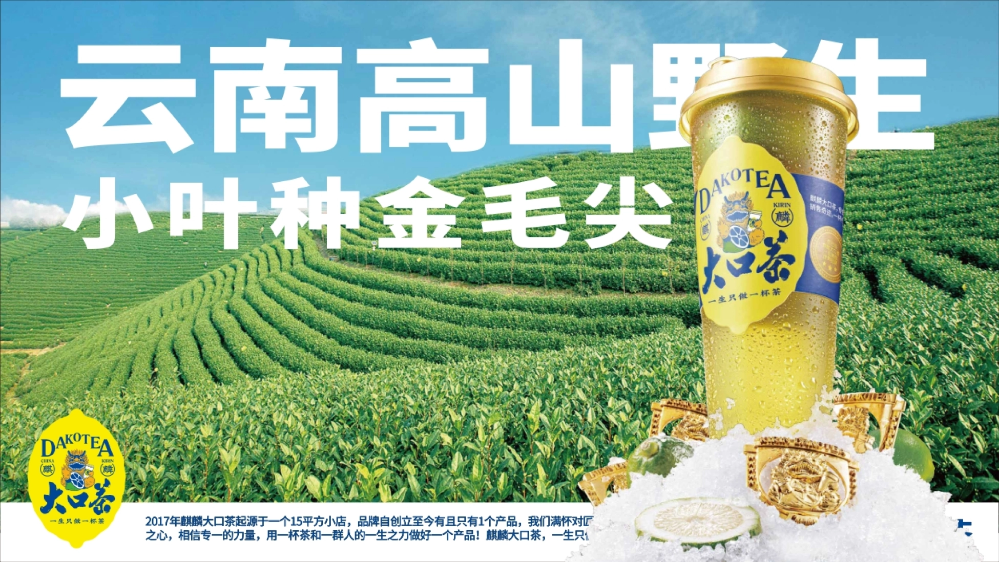 DAKOTEA麒麟大口茶品牌手册_第7页