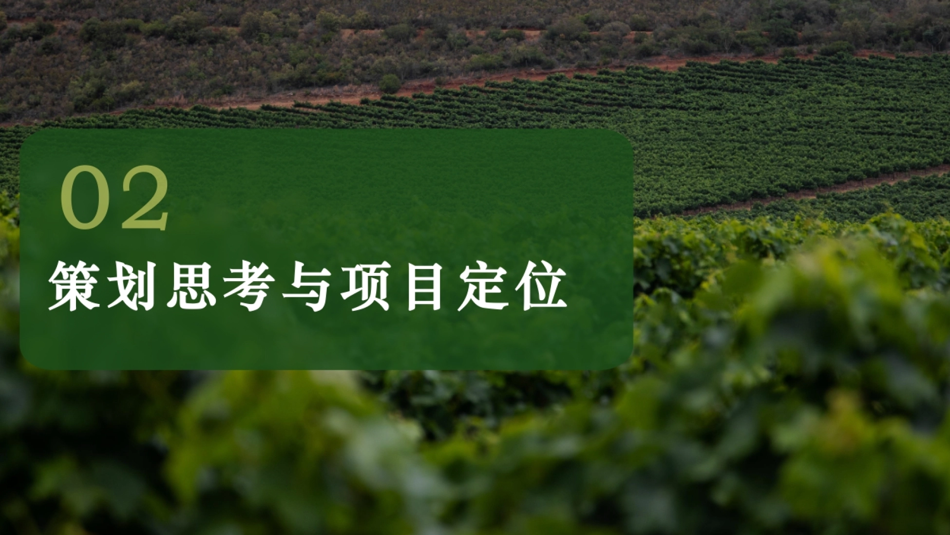 亲子时光回归乡村的理念页 稻田果园泥巴与萌娃的自然碰撞