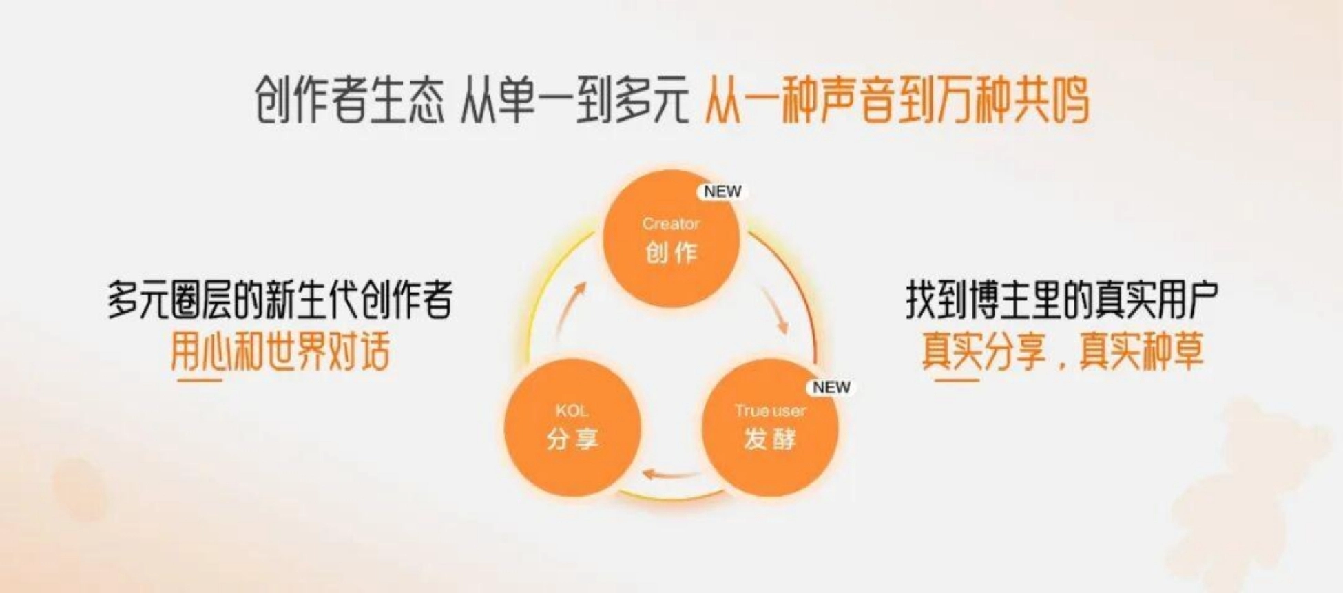 2026小红书内容创作方法论_第3页