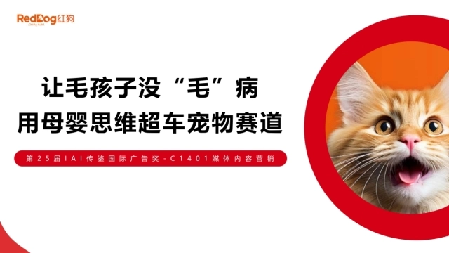 2024红狗宠物品牌媒体内容营销创意方案